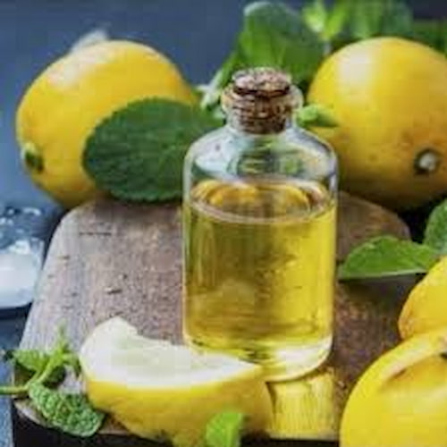تصویر 4 از اسانس لیمو + طعم‌ دهنده‌ ای تازه و خوش‌ عطر